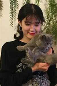 顾总别等了，夫人改嫁一胎二宝了