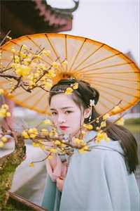 闺蜜同穿八零新婚日，糙汉兄弟拿下了