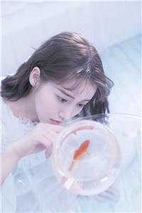 繁星不许霜寒洲