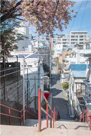 离婚后，霸总他追悔莫及