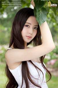 再不见明月高悬