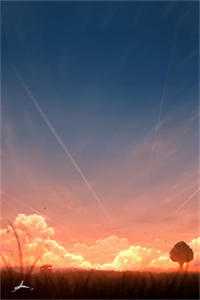 随星遗忘在黑夜