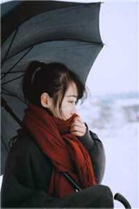 晚明赘婿