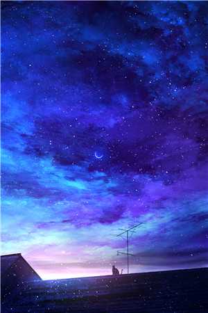 残阳落幕，一死一伤