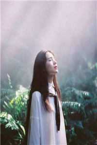 情深无归处