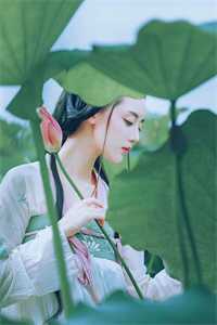 仰春不渡