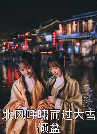 送本皇子去和亲？我直接黄袍加身！