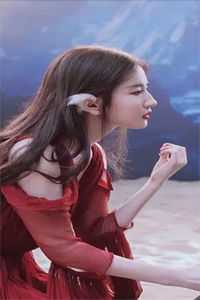 爱恨如春晓，原来皆是空