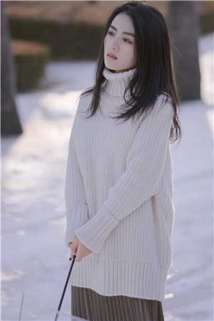 竹待雪后新春