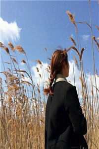 隐婚七年，高冷女上司我不要了
