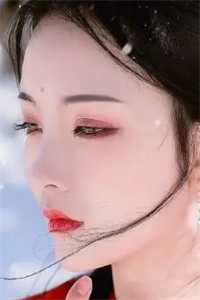 丁克儿媳对我家谋财害命之后，我杀疯了