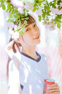 再寻不到海棠花