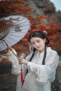凤临天下
