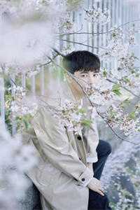 不当大孝女后，全家崩溃了