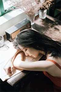 挂在树头上的灵猫
