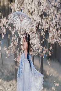 他赠巴黎烟花吻，我回全网离婚证